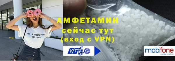шишки Абаза