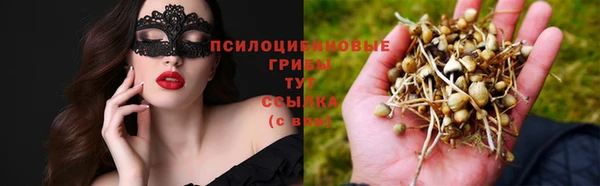 твердый Алзамай