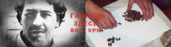шишки Абаза